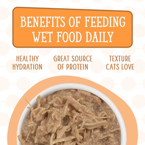 Image of Weruva Cats in The Kitchen, Word from The Bird! Variety Pack, 6oz Can (Pack of 12)