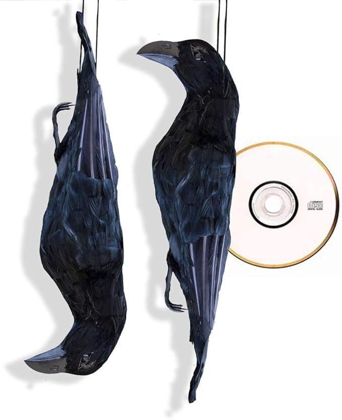 Dead Crow Scare Kit - 2 Dead Crow Bird Deterrents & Bird Distress Calls cd