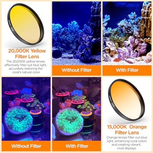 Image of 52MM Coral Reef and Reef Tank Filter Kit for Phone, CPL Polarizing+20,000k Yellow+15,000k Orange+10x Macro, Clip, Saltwater Aquarium Lens Compatible with iPhone16 15 Pro Max Samsung Moto Google TCL
