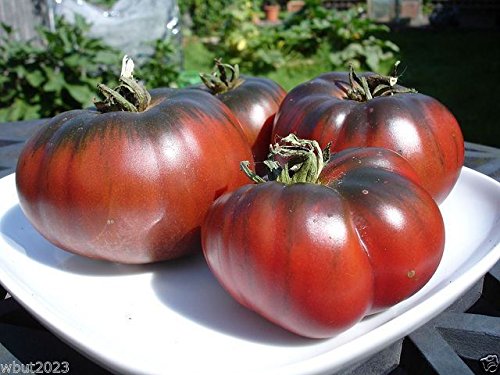 Black Krim Heirloom Tomato Seeds, 50 Pack