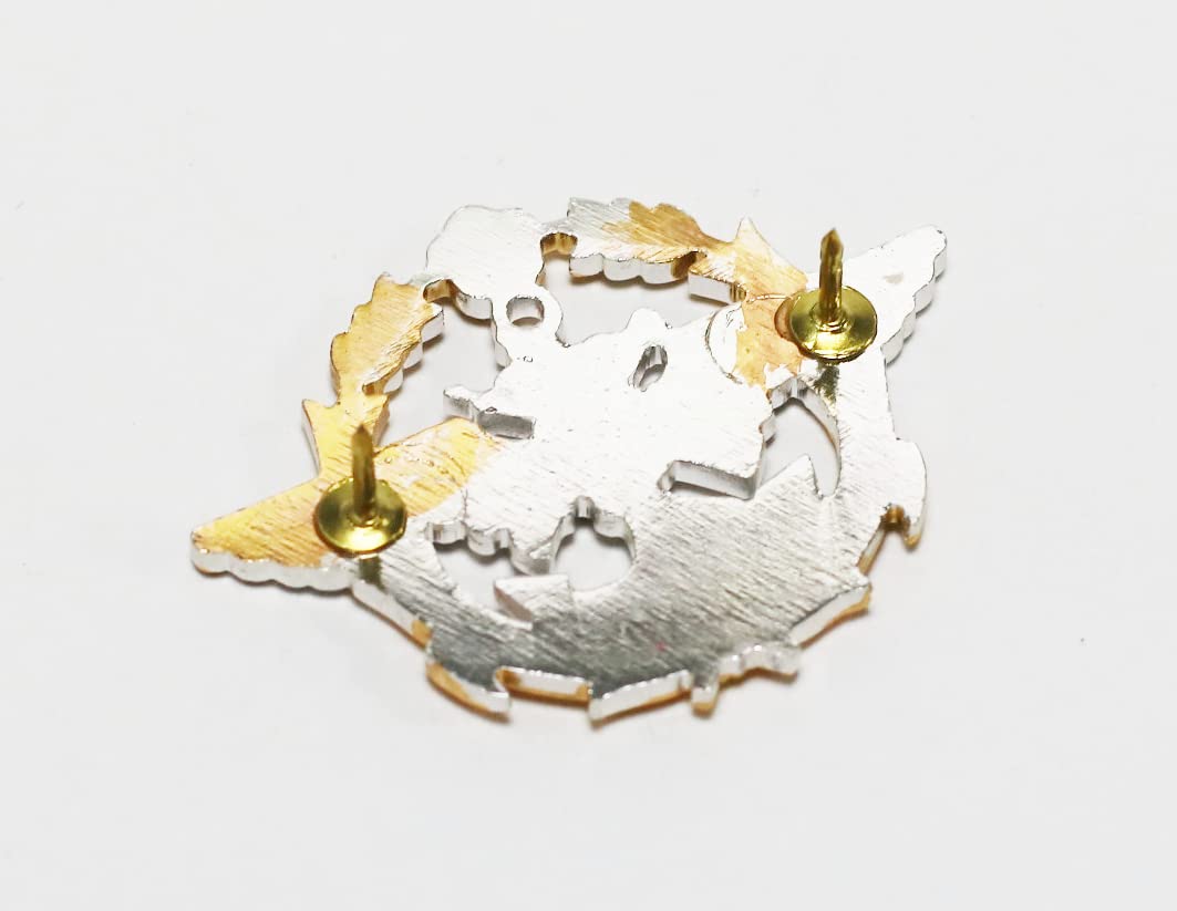 Amazon.co.jp: 台湾限定 中華民国 国防部エンブレム ピンバッジ ROC