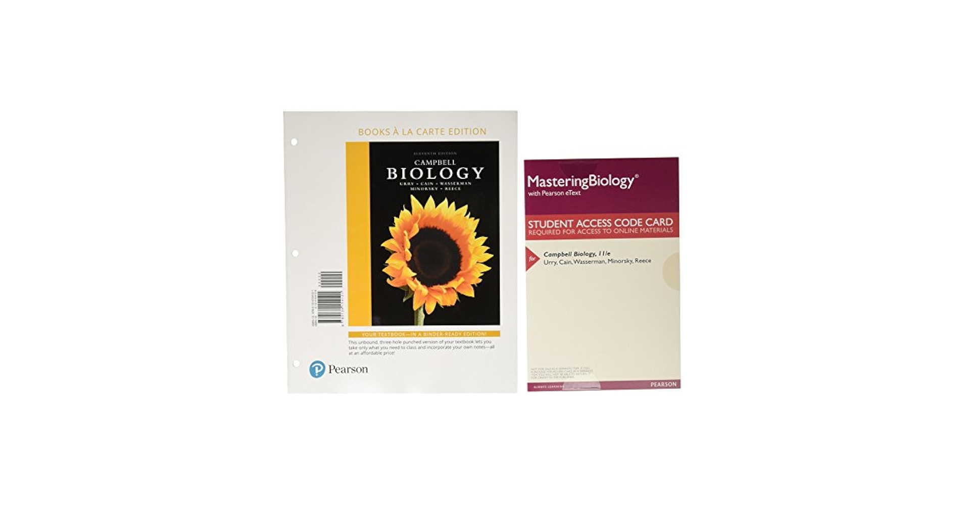 洋書 Systems Biology: A Textbook Systems Biology: A Textbook, Klipp, Edda, Liebermeister