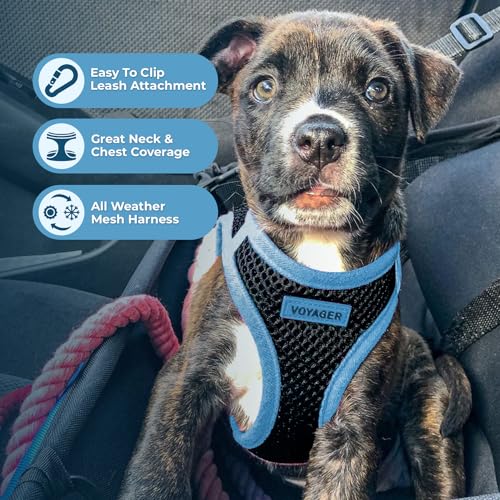 Image of Voyager Step-in Air All Weather Mesh Harness & Reflective Dog 5 ft Leash Combo, Neoprene H&le, for Small, Medium, Large Breed Puppies by Best Pet Supplies - Leash Harness (Black /Blue Trim), XL