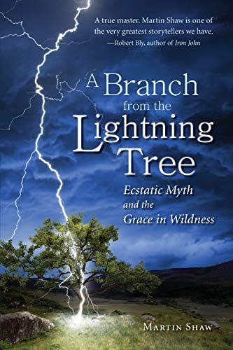 A Branch from the Lightning Tree: Ecstatic Myth and the Grace of Wildness Paperback – June 21, 2011