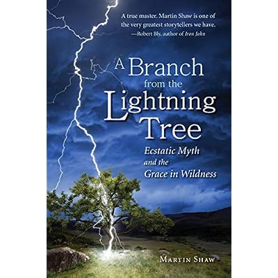 A Branch from the Lightning Tree