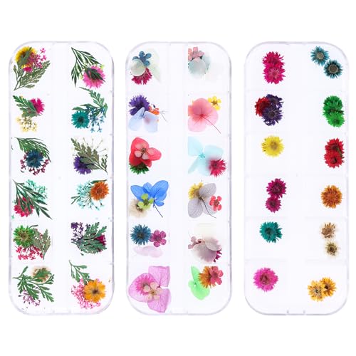 YWLI Dried Flowers Nail Art 96 PCS