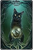 Letrero de metal vintage con diseño de gato negro, bola de cristal de bruja y gato negro, divertido letrero de metal para decoración de pared de cueva de hombre, decoración de pared, 8 x 12 pulgadas