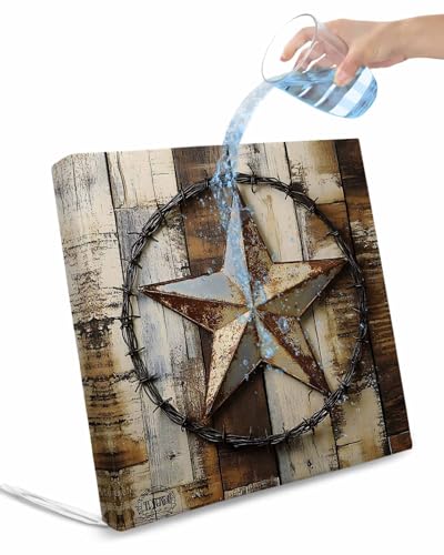 2 Pack Vintage Farmhouse Waterproof Cushion Covers with Ties, Outdoor Patio Chaise Lounge Chair Seat Cushion Slip Covers Replacement(Only Cover) Country Texas Star Brown Wooden Grain 20