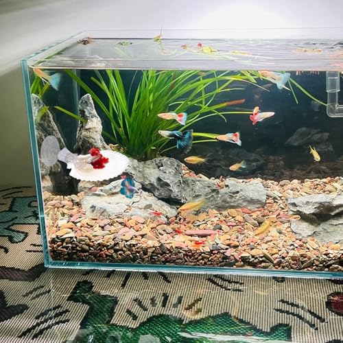 3 Stück Beta Fisch Hängematte mit 3 Saugnapf Klammern Betta Fisch Ruhe Spot Aquarium Dekoration Muschelbett natürlicher Lebensraum für kleine Fische 3 Größen
