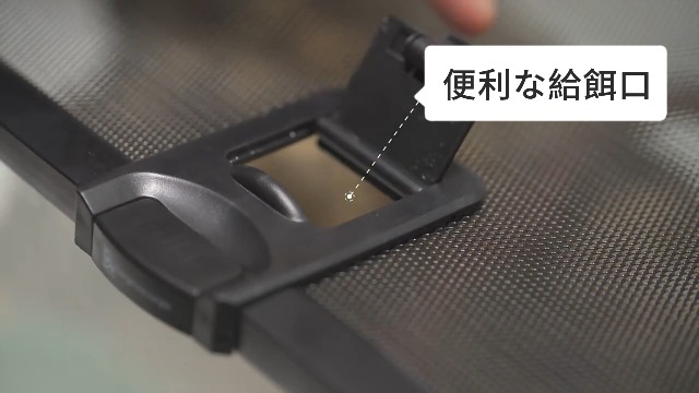 Amazon | 爬虫類 ケージ レプタイルボックス 20x20x30cm グラス