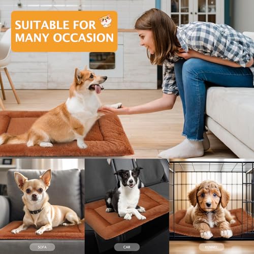 PET SPPTIES Hundebett Weiches und Warmes Matten Hundekissen Waschbarn kuschelig Umkehrbar Haustier Sofakissen PS085 (90X70 cm, Orange)