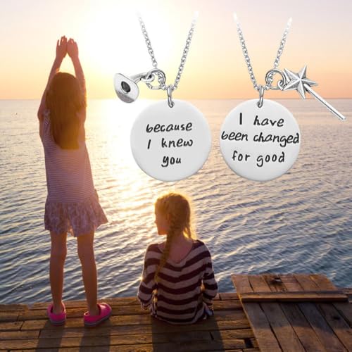 Best Friend Necklaces Set of 2, Friendship Necklace Because I Knew You I Have Been Changed for Good Gifts for Sister BFF2