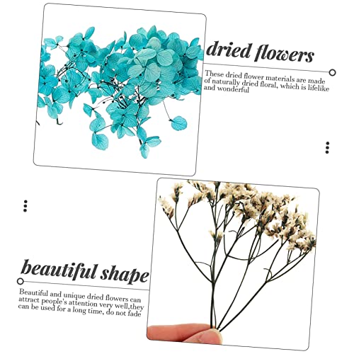 Set de flores secas para manualidades decorativas miniatura 4