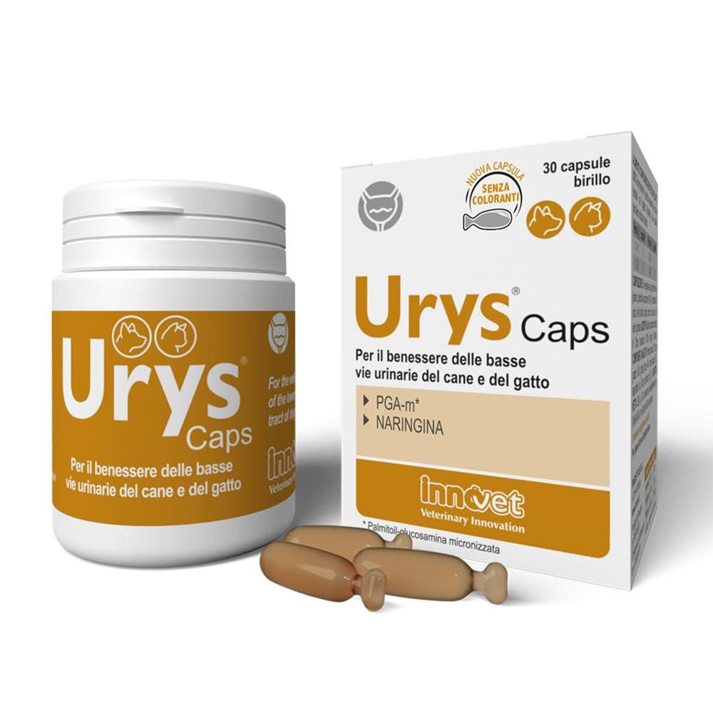 Santé urinaire Innovet Urys | Formule PGA-m haut de gamme 60 capsules