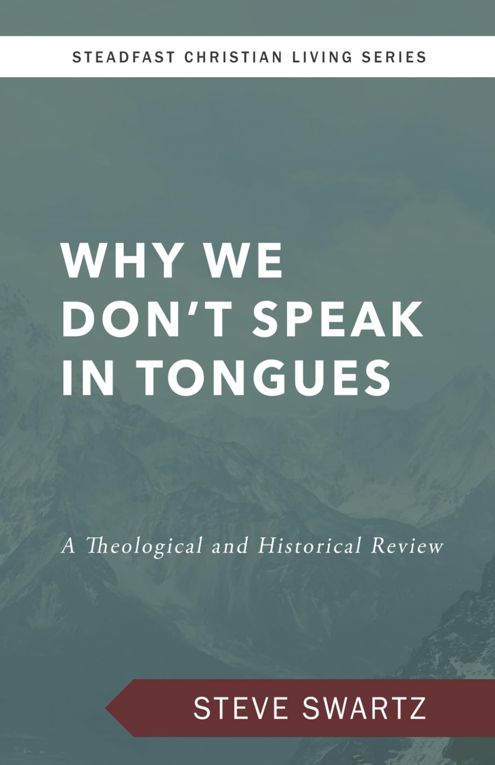 Why We Don't Speak in Tongues: A Theological and Historical Review (Steadfast Christian Living Series)