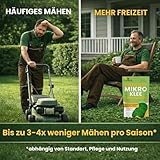 ECODECO B0F1BFZMYB lato 4