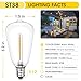 VISTERLITE E12/C7 Base LED Replacement Bulbs for ST38 Outdoor String Lights - Not Solar, Vinatge 1W LED Shatterproof Bulb, Warm White 2200K, 50 Pack