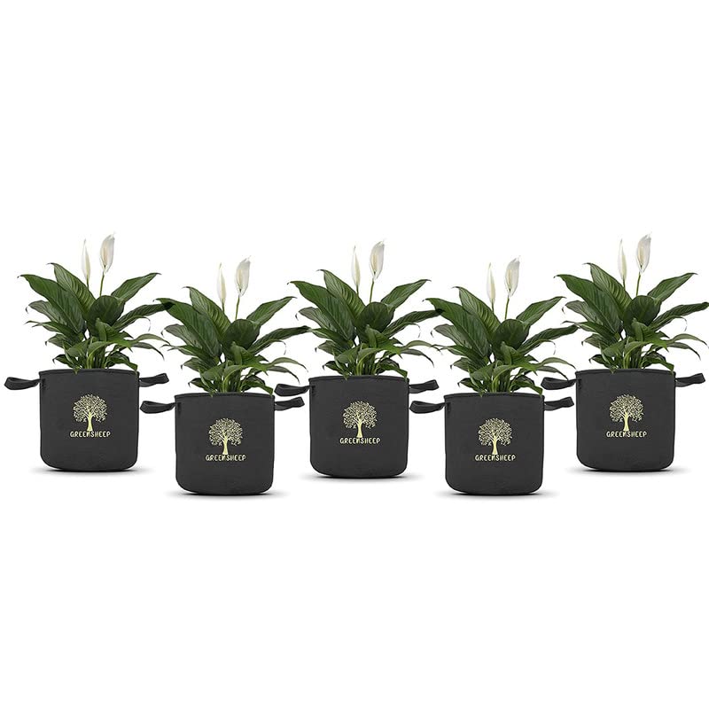 Image of GREENSHEEP Geo Fabric Grow Bags for Terrace Gardening, Balcony, Vegetables, Plants, Fruits and Flower with Handles - Breathable and Reusable Plant Bags for Indoor (Dark Grey) (Pack of 5) (Size-6x12)