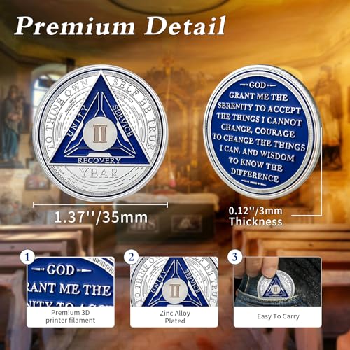 Image of Recovery Triangle 2 Year Sobriety Coin - Silver Roman Numeral NA AA Coins - 1-40 Prime NA /HA /AA Chips and Medallions - Narcotics Alcoholics Anonymous Sober Gifts for Men Women