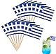 100 Stück Griechenland Flagge Zahnstocher,Griechische Deko KüNstlich,Zahnstocher Holz Dekoration,Pick’Em Zahnstocher Einzeln Verpackt,LäNderflaggen,griechenland deko.für Party Food Cake Obst Geschirr