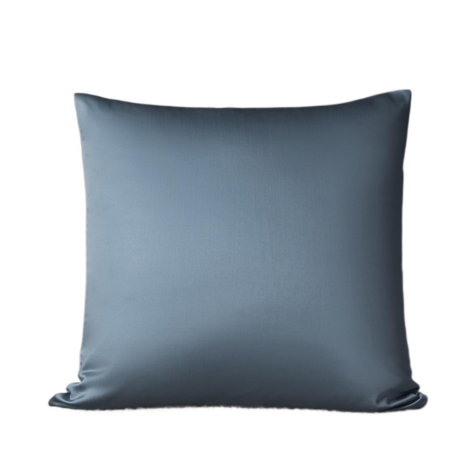 Silk pillowcase Silk Pillow Cover Cushion Zipper Pillowcase Silver Lon Infused Silky Decorative Sofa No Core(Blue,30x50cm)