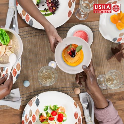 Image of FreshHome Melamine Dinnerware Dinner Set for 4 Persons | 16 Pcs Plates & Bowls Set | 4 Full Plates, 4 Half Plates, 4 Veg Bowls, 2 Serving Bowls & 2 Spoons