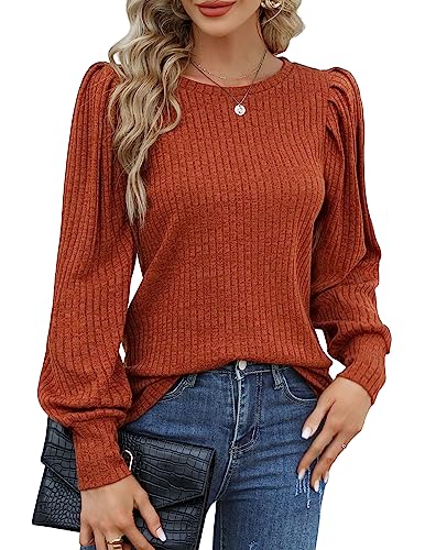 HOTOUCH Women's Knit Blouse Soft Puff Long Sleeve Shirt Tops Lightweight Round Neck Pullover Sweater S-XXL