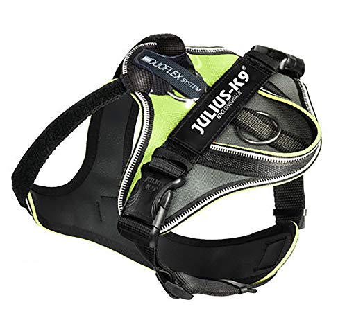 EXP[iC IDCOEH[Nn[lX lI L TCY