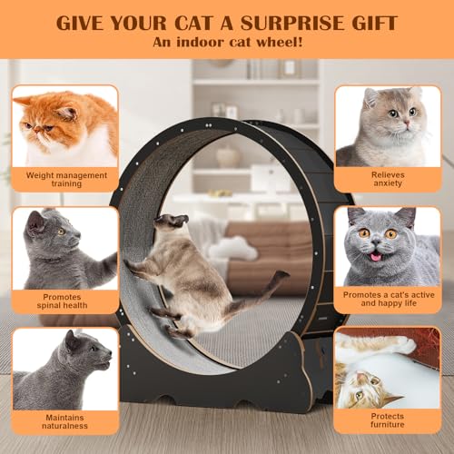Cat Wheel, 48" XL Large Cats Exercise Running Wheel, Cat Treadmill for Indoor Cats