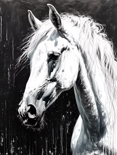 Peinture diamant 5d kit complet animaux chevaux avec strass point de croix 70x100