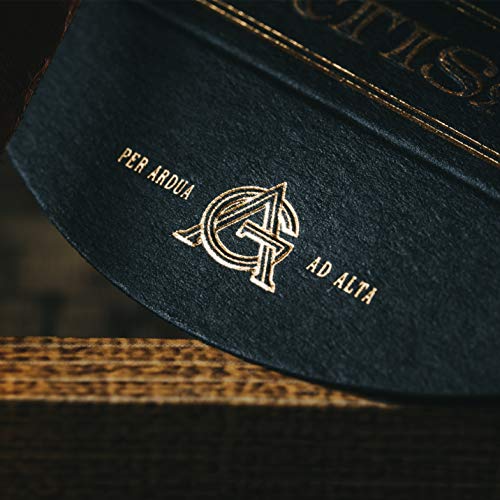 theory11 Artisan Playing Cards (Black) Spielkarten, Schwarz, Poker – Bild 8