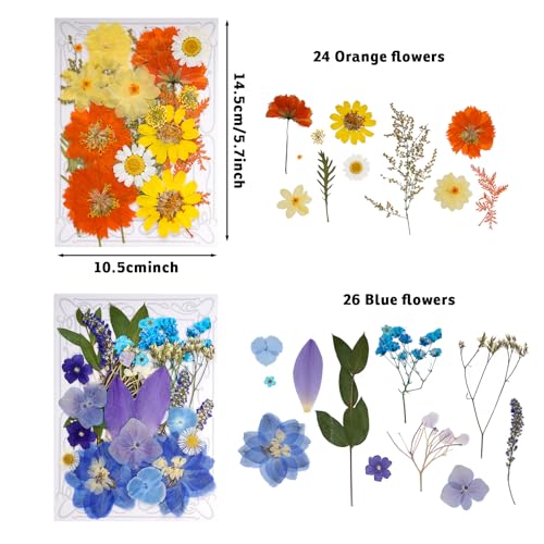 100 Piezas de Flores Secas Prensadas para Manualidades miniatura 2