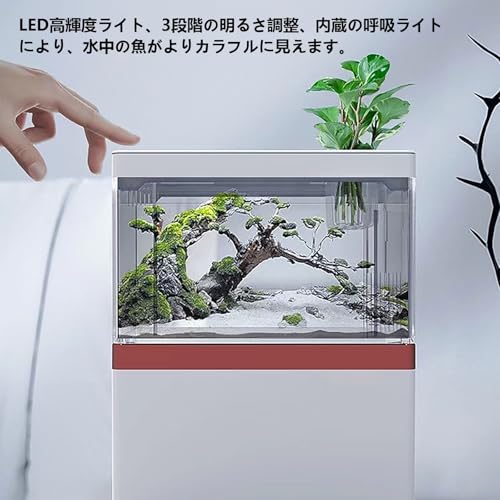 ノーブランド品 水槽 小型 フルセット アクアリウム メダカ飼育水槽 静音 USB式で省エネ LEDライト付 底部濾過システム搭載 フィルター付 卓上用 ベタ/金魚/熱帯魚 の商品画像 3