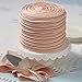Wilton Dessert Decorator Pro Cake Decorating Tool, Stainless Steel Frosting Piping Kit, Cake and Cupcake Icing Decorating, Deviled Egg Piping Tool (Silver)