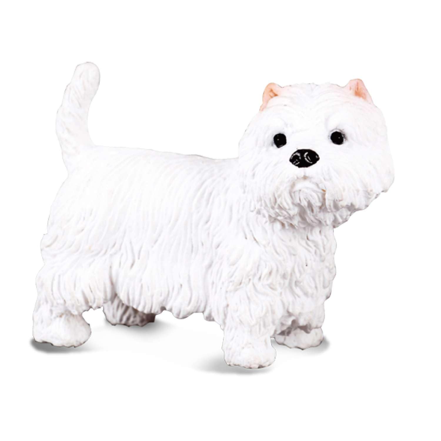 CollectA West Highland White
