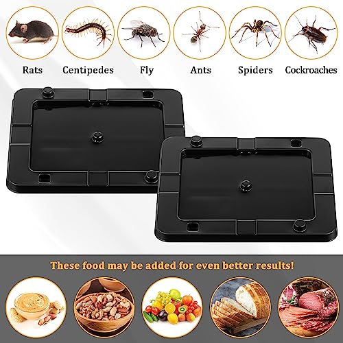 Mejores review On-line Pegamento para ratas comprados en linea. 22 Imagen adicional