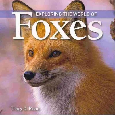 Exploring the World of Foxes