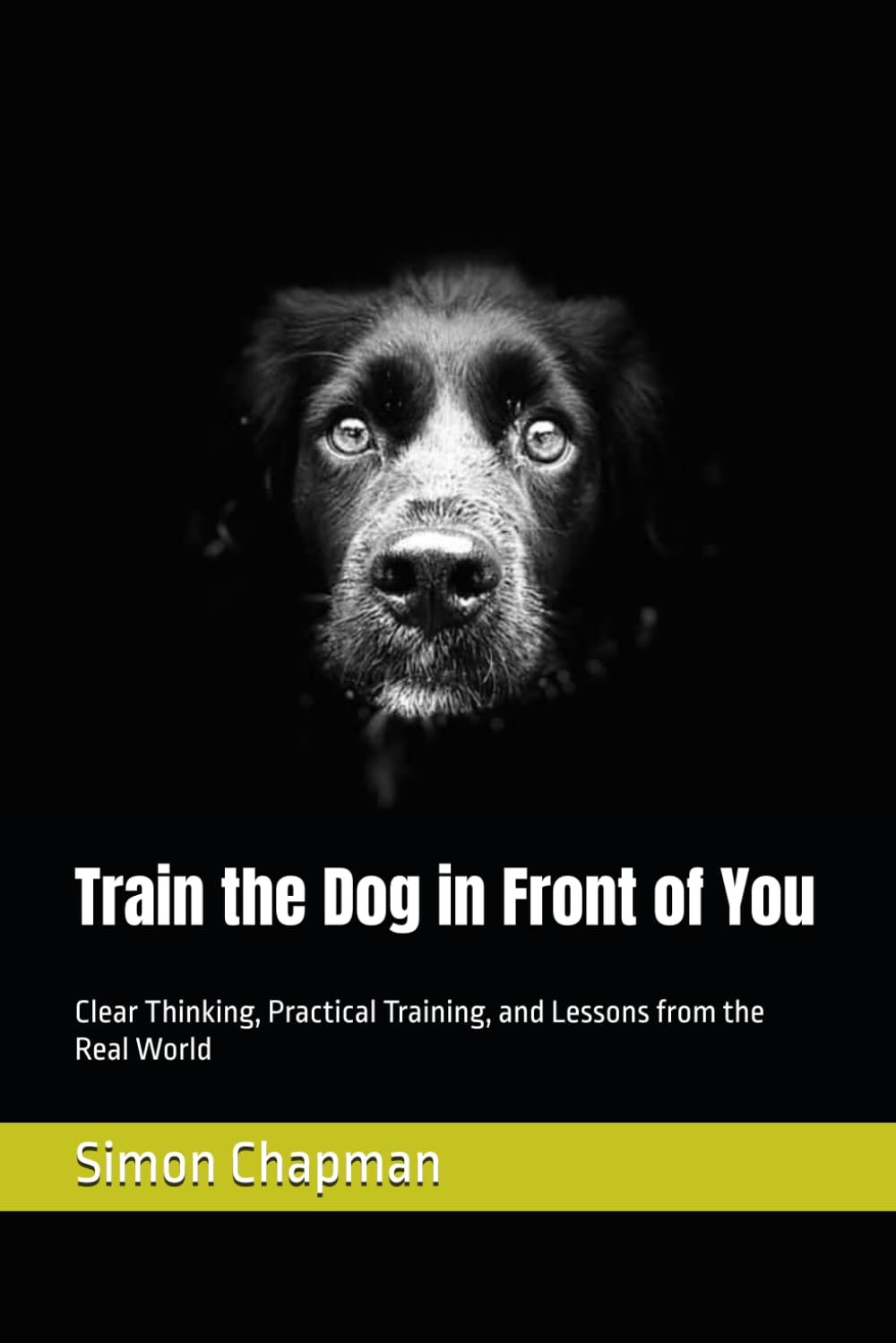 Train the Dog in Front of You: Clear Thinking, Practical Training, and Lessons from the Real World