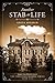 Another Stab at Life (Christian cozy mystery) (The Volstead Manor Series Book 1)