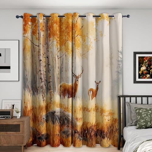 �A�J�V�J �Ռ��J�[�e����100x��135cm����\�ł� ���A���E�v�����g �J�[�e�����r���O�A�_�C�j���O�A�Q���̃C���e���A�ɍœK �����̊Ԏd�؂��ډB���Ƃ��Ă��g�����������܂�