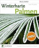 winterharte palmen balkon  Winterharte Palmen