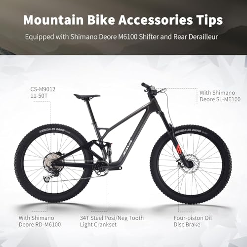 SAVADECK Carbon Fiber Full Suspension Bike