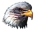The American Flag Eagle Head 5" Free Shipping in the United States