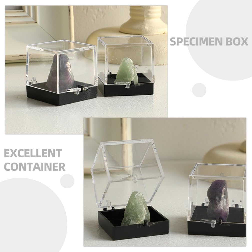 Zerodeko Transparente Präsentationsboxen Wiederverwendbar 3 Stück aus Kunststoff mit Glatter Oberfläche Einfache und Elegante Aufbewahrungslösung für Mineralienaufbewahrung für Zuhause