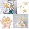 15pcs Natural Starfish for Crafts, Five Finger Flat Sea Star Fish Shells Bulk Fish Tank Ornaments for DIY Beach-Themed Party Wedding Christmas Home Decoration, 3 Sizes