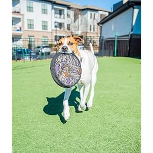 OllyDog Flyer Disc, Dog Frisbee, Lightweight and Floating, Dog Toys Interactive, Dog Stuff, Gentle on Teeth and Gums (Bloom)