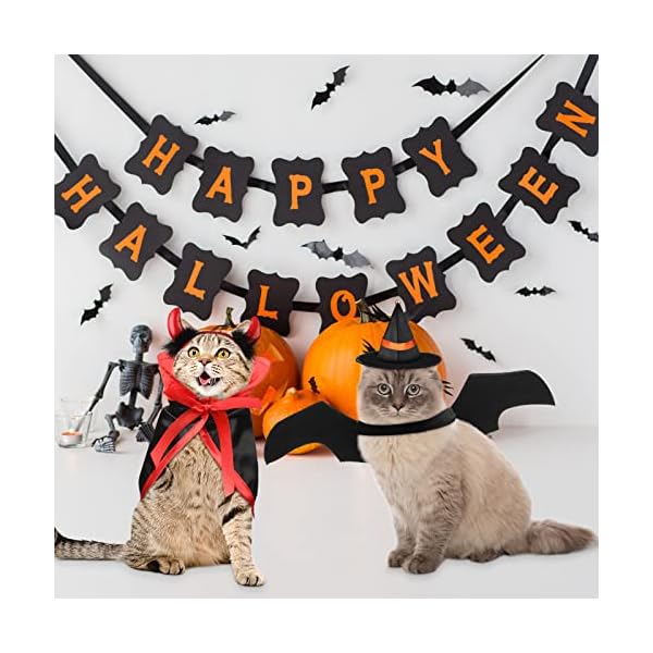 Potchen 5 pcs halloween vampire costume for cat, devil witch hat for cat, pet cat bat wings, cat pumpkin witch pet cape vampire costume for puppy cat cosplay dress up accessories - image 5
