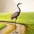 chisheen Outdoor Garden Crane Statues and Sculptures Metal Yard Art Statue for Garden Decoration Large Size