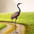 chisheen Outdoor Garden Crane Statues and Sculptures Metal Yard Art Statue for Garden Decoration Large Size