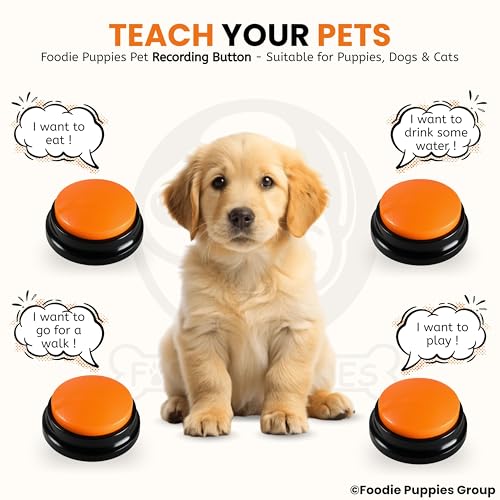 Image of Foodie Puppies Interactive Dog Toys, Pet Voice Training Talking Button /Buzzer Toy for Communication - Pack of 2 (Recording Button, Orange) 30Sec Record & Playback, [Without Battery]